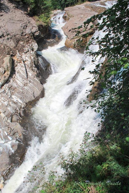 Pensiunea Cascada Putnei Lepsa Exterior photo